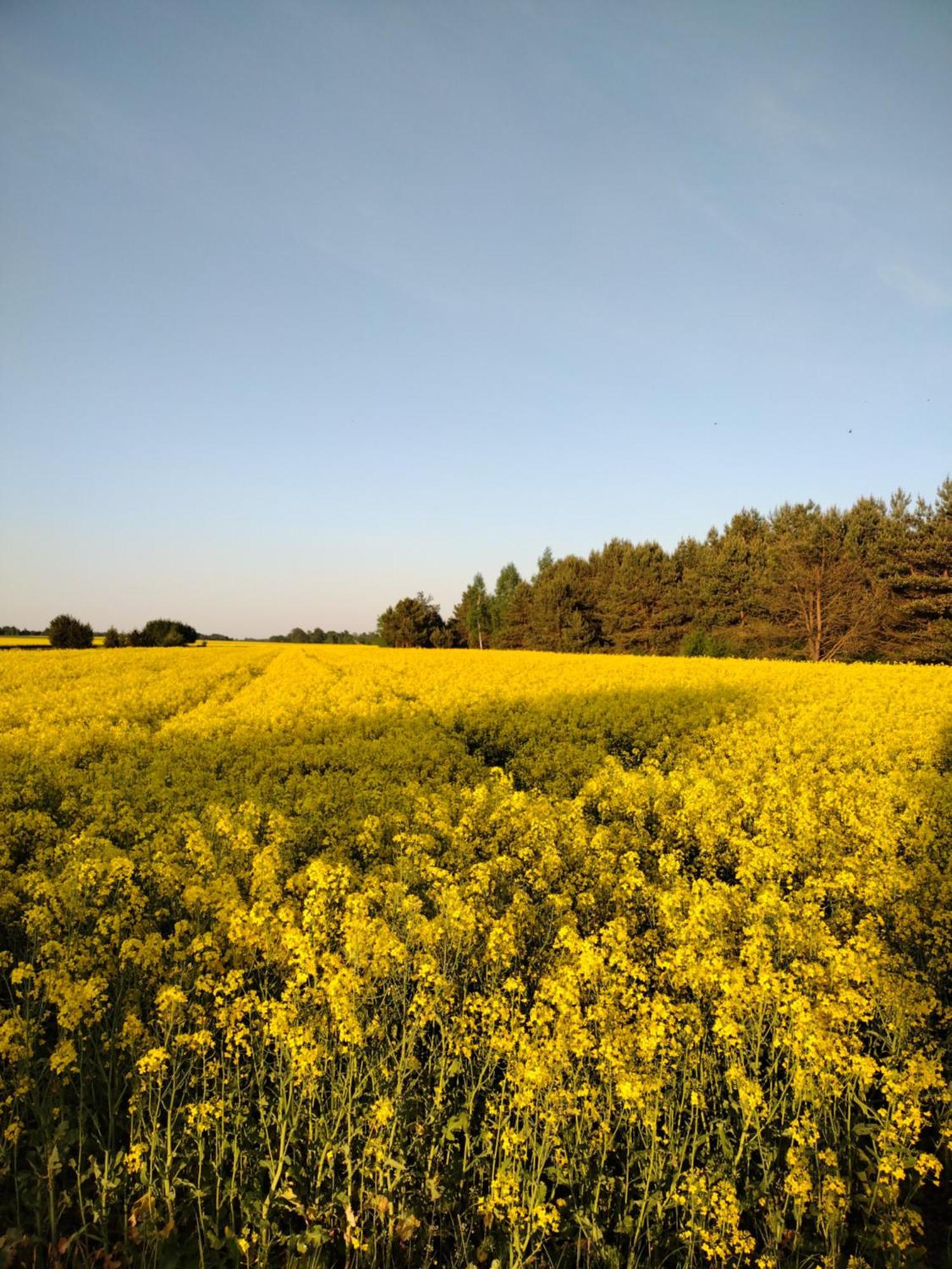 Panorama Podlasie Home&Spa Czyze Bagian luar foto
