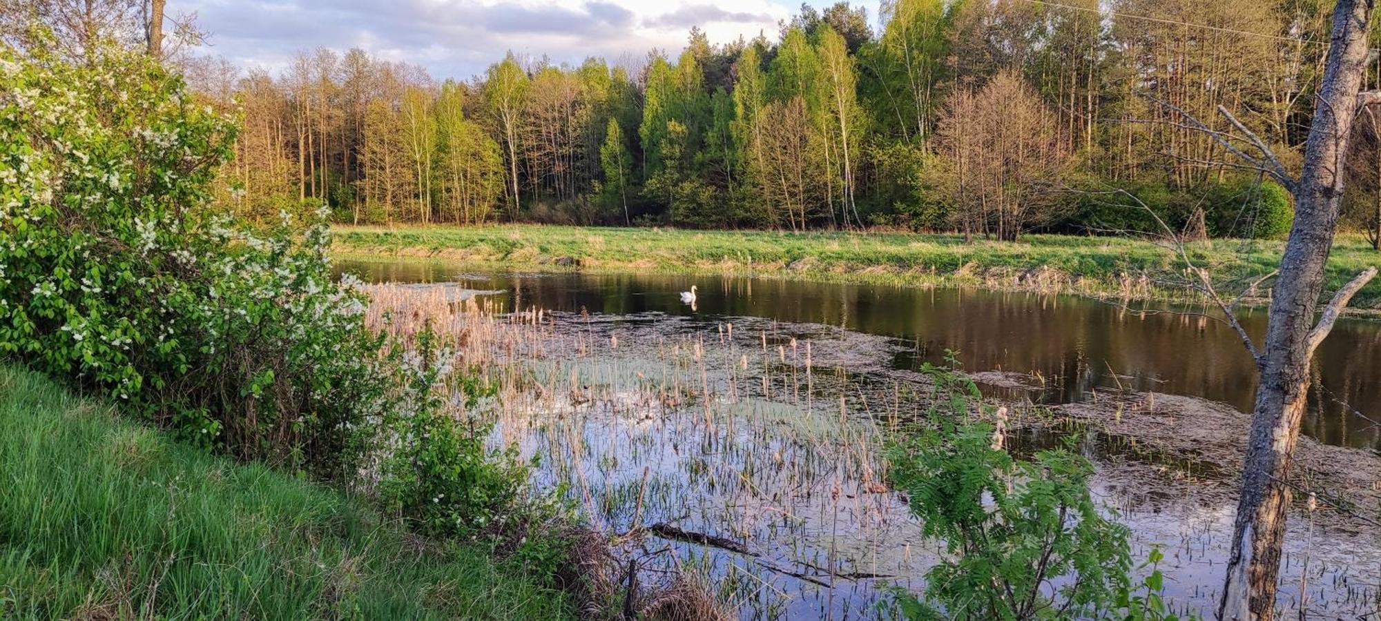 Panorama Podlasie Home&Spa Czyze Bagian luar foto
